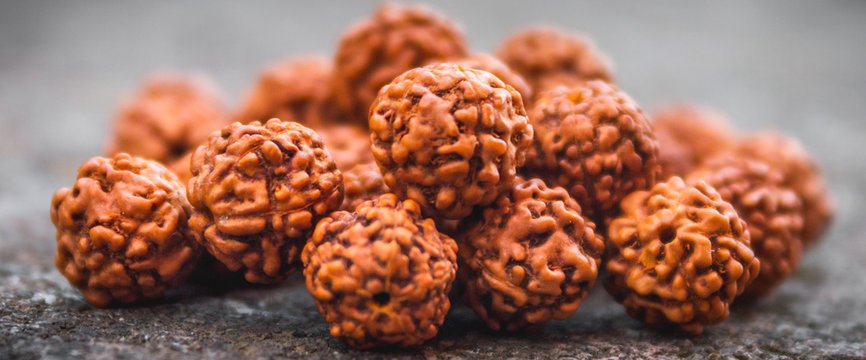 Rudraksha